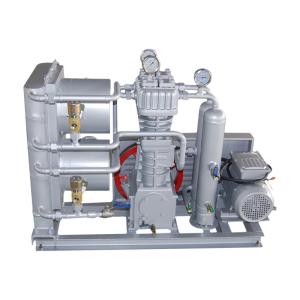 Biogas compressor