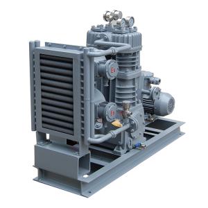 Chloroethane compressor