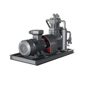 gas compressor